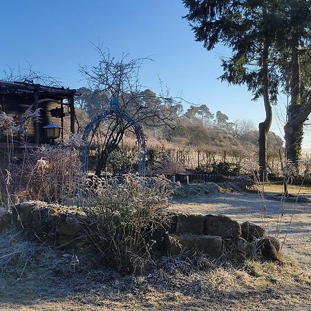 Gemuetliches Ferienhaus Mit Grossem Garten, Ideal Fuer Naturliebhaber Gerhardshofen 外观 照片