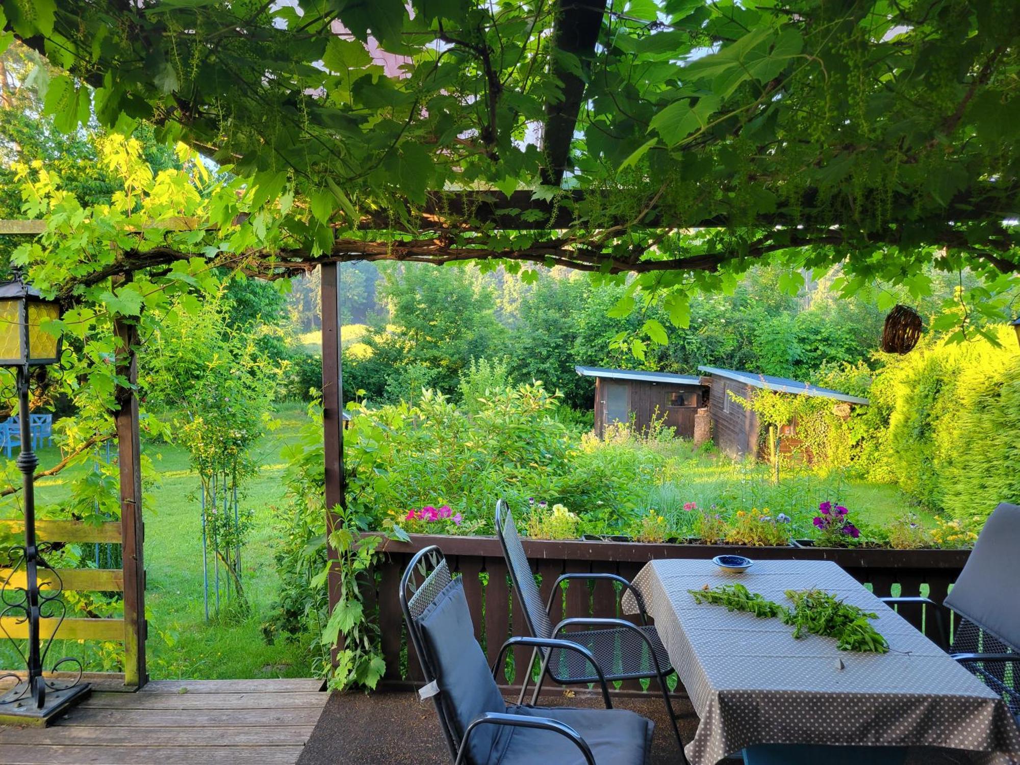 Gemuetliches Ferienhaus Mit Grossem Garten, Ideal Fuer Naturliebhaber Gerhardshofen 外观 照片